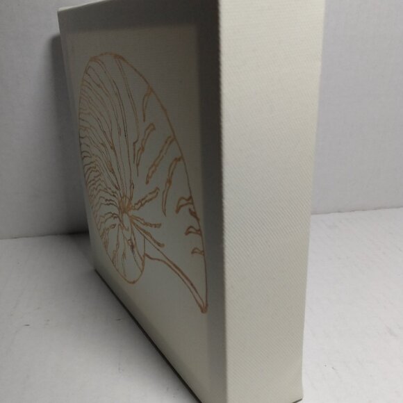 Coastal Breeze Shell Art Print Anne Tavoletti On Canvas ~ Sea Shell - Picture 4 of 5